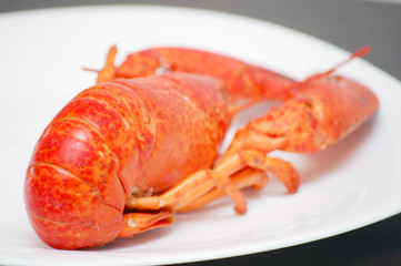 lobster on a plate