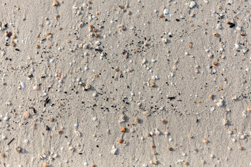 Natural background with small stones in the sand on the beach.