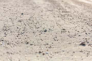Natural background with small stones in the sand on the beach.