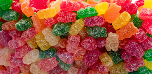 Sugar coated Gummy Bear. Colorful gummy bear