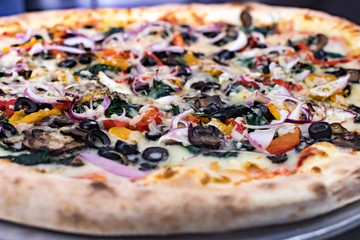 Closeup shot of a yummy Vegetable Pizza