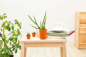 Cup, coffee, books and home flowers. Relax. Gardening. Quite spaces