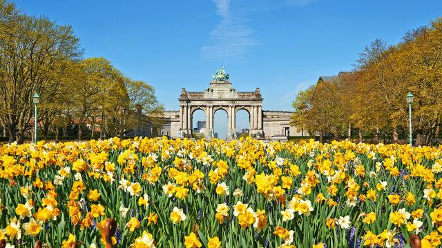 The Cinquantenaire monument at Brussels in springtime during the confinement period.