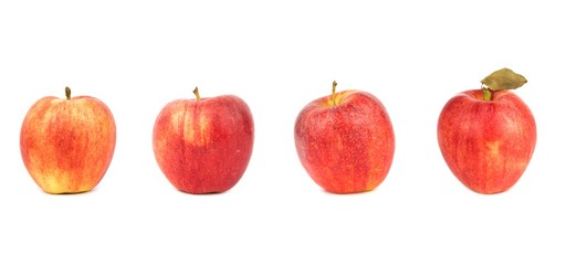 Red apple Gala isolated on the white background
