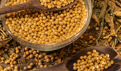 Soya beans (Glycine max) scattered on stage with wooden spoon and glass container