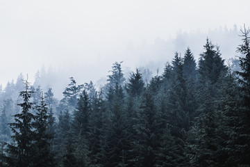 Misty mountain landscape