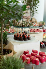 Dessert and Sweets Buffet Brunch Catering Dining Eating