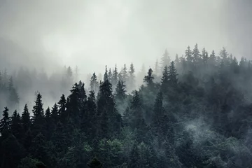 Aluminium Prints Grey 2 Misty mountain landscape