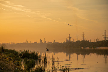 Dawn on the outskirts of a big city