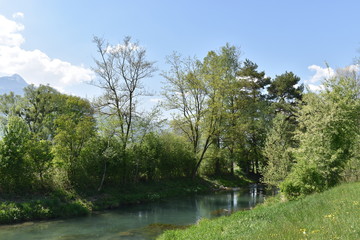 Fototapeta premium Naturfotografie