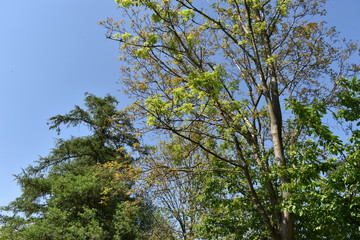 Naturfotografie