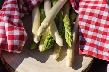 Spargel - Asparagus officinalis