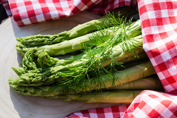 Spargel - Asparagus officinalis