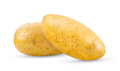  potato on white background