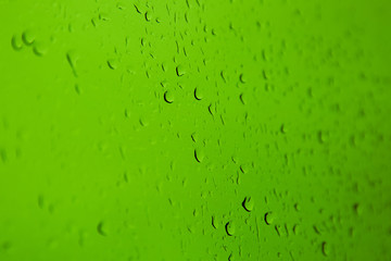 raindrops on the green glass	