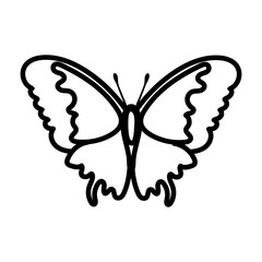 beautiful butterfly insect line style icon