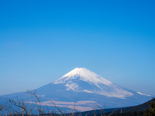 Fototapeta premium Snow Covered Mount Fuji with Blue Sky Background, Japan