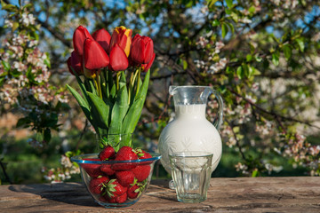 Fresh strawberries on plate on old wooden background. Red tulips in vase on table. Jar and glass of milk. Breakfast time. Healthy food. Vegetarian dish. Spring time
