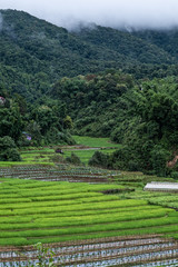 A resort beside rice fields and mountains during the rainy season in Mae La Noi District, Mae Hong Son Province of Thailand.