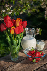 Fototapeta na wymiar Fresh strawberries on plate on old wooden background. Red tulips in vase on table. Jar and glass of milk. Breakfast time. Healthy food. Vegetarian dish. Spring time 