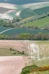 A full frame photograph of farmland in Sussex on a spring day