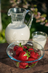Fresh strawberries on plate on old wooden background. Red tulips in vase on table. Jar and glass of milk. Breakfast time. Healthy food. Vegetarian dish. Spring time
