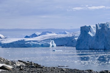 Fototapeta na wymiar Glacier front with stone beach landscape and ice floes in Antarctica, blue cloudy sky, Stonington Island