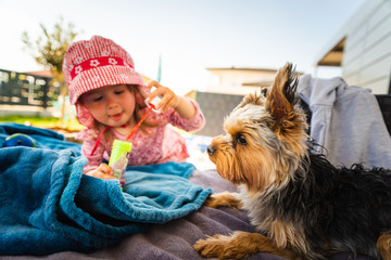 Portrait of a beautiful little 2 years old girl in red hat with yorkshire terrier dog on sofa in backyard
