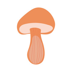 fungus plant hand draw style icon