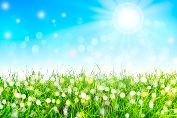 Fototapeta premium Sommer