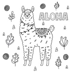 Coloring page for adults and kids with funny llama © juliyas
