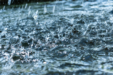 Plakat Water splashes hit the surface of the water