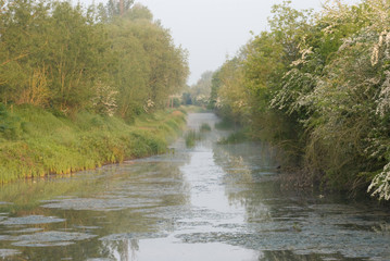 Canal at a Nature Reserve in the United Kingdom