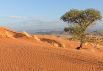Fototapeta na wymiar Landschaft Namibias
