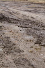 Traces of tires from a car on a dirt road