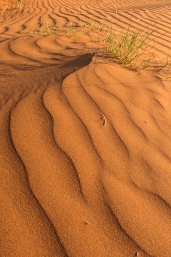 windgeformte Düne aus rotem Sand