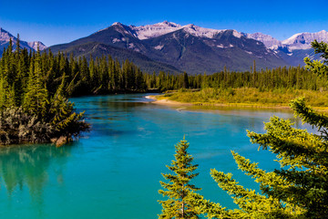 Summertime along the Bow River. Banff National Park, Alberta, Canada