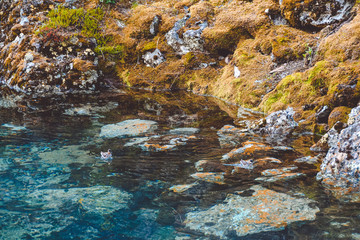 rocky shore of sea, fast river in mountain valley, ocean surf on summer day