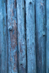 Blue wooden wall made of pine logs as the background texture. the logs are positioned vertically.