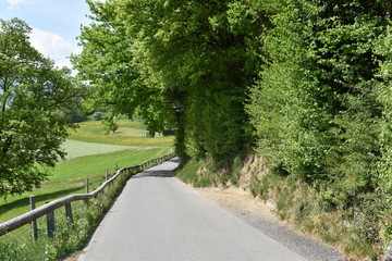 Obraz premium Naturfoto