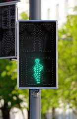 Illuminated green traffic signal light