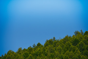 green hillsides, mountains with trees and grass on sunny summer day