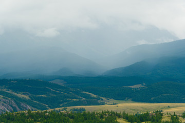 forest mountain valley under blue sky with clouds, tourist route for trekking, place of recreation and relaxation