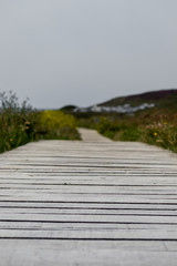Fototapeta premium Grey sky boardwalk