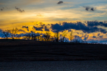 Fototapeta premium sunset over the field