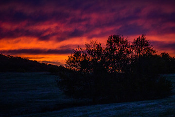 Naklejka na ściany i meble sunset in the forest