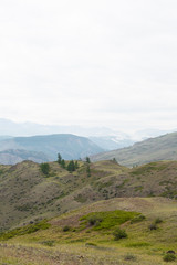 Fototapeta na wymiar mountain valley for hiking, forest and rocky range on horizon
