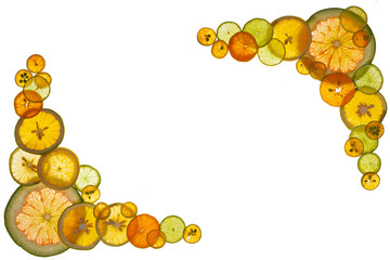 Composition of longitudinal and transverse cuts of fruits of various shapes on the lumen isolated on white background.