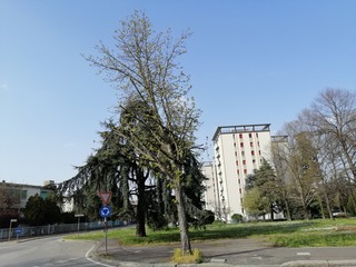 strada in città