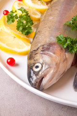Fresh trout fish with lemon parsley cranberries